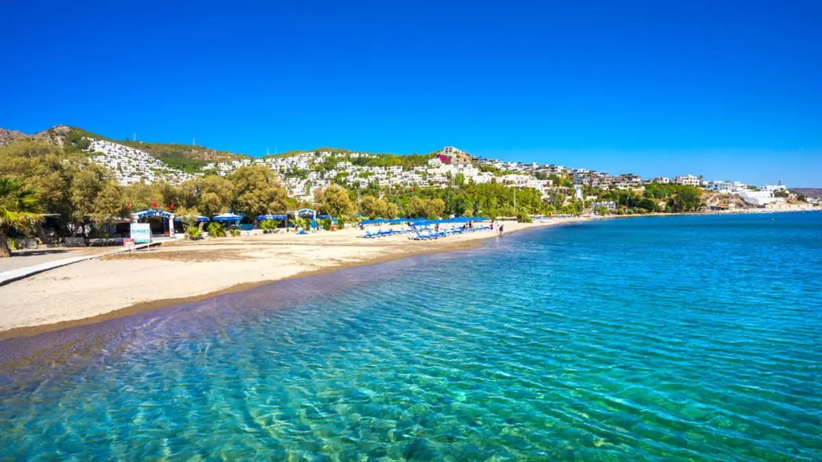 Peksimet Koyu Hakkında Bilmeniz Gereken Her Şey