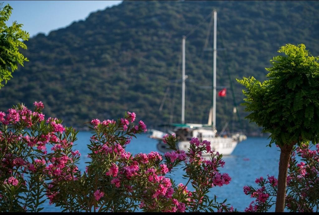 Göcek'te 20 metre Gulet - 46